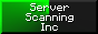 Server Scanning Inc (ssi.fyi)